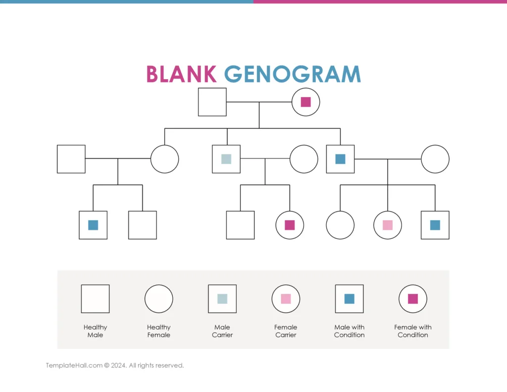 Free Blank Genogram Template 01 PDF