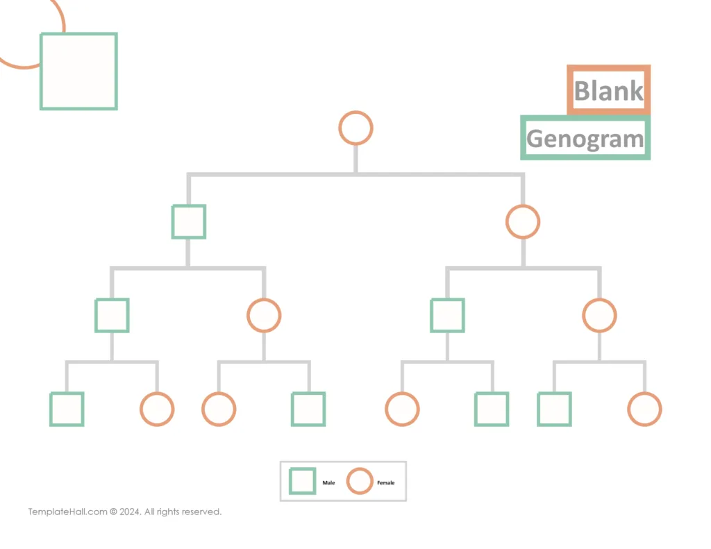 Printable Blank Genogram Template 08 PDF Format