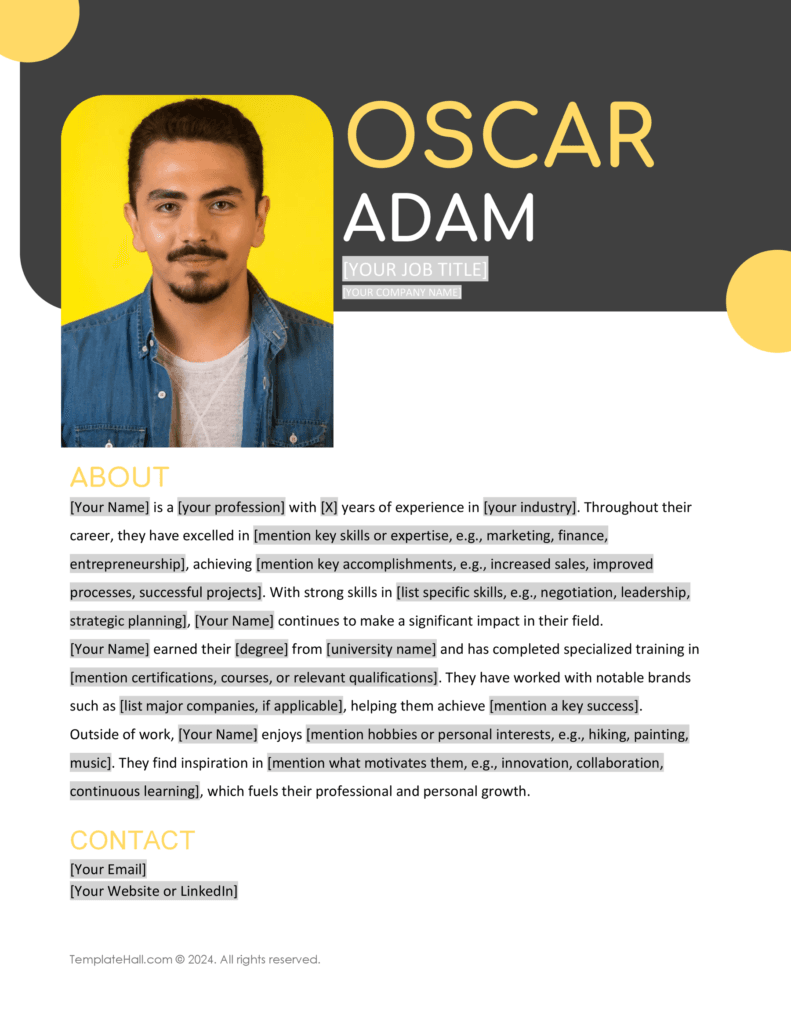 Editable Professional Bio Template 08 in Word and Google Docs